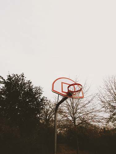college station red and white basketball hoop united states